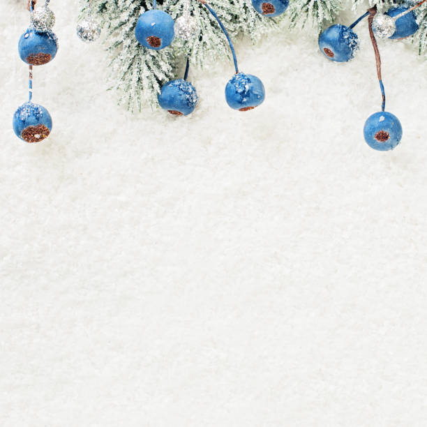 istock Christmas composition with green Xmas tree twig, blue berries and white snow 1164562883