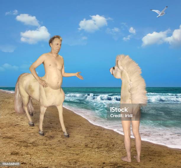 Centaur Meets A Strange Horse Stock Photo - Download Image Now - Beach, Men, People
