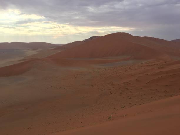 istock Dune 45 in the Namibian desert 1164569130
