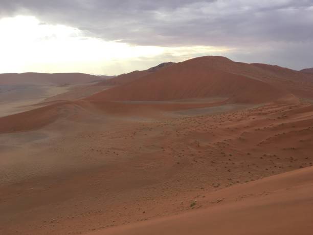 istock Dune 45 in the Namibian desert 1164569208