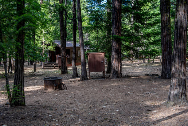istock Standard cabin at California's state park 1164570586