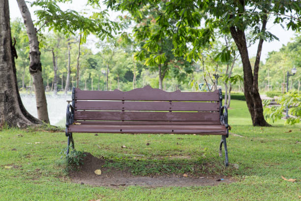 istock chair in the garden 1164570667