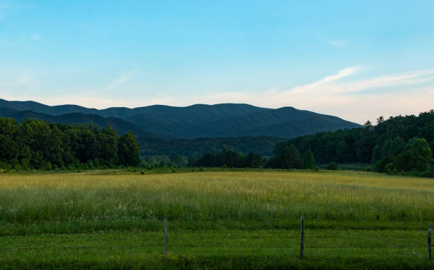 istock Scenic mountain valley landscape 1164570712