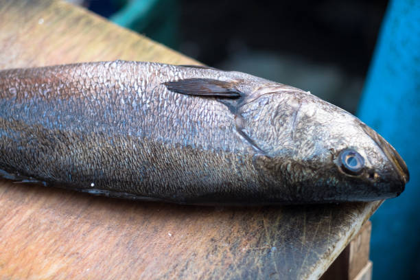 offener fischmarkt - coryphaena stock-fotos und bilder