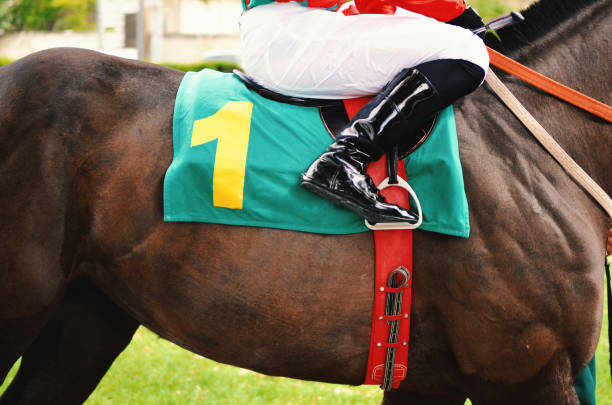 Jockey on a Racehorse stock photo