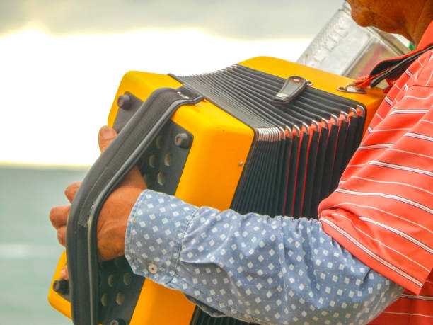 Playing the accordion. Close up.