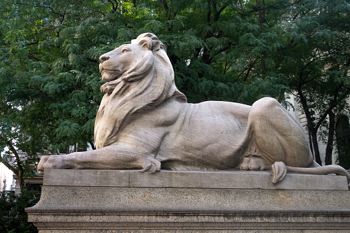 Stone white lion architectural carved stone includes clipping path.