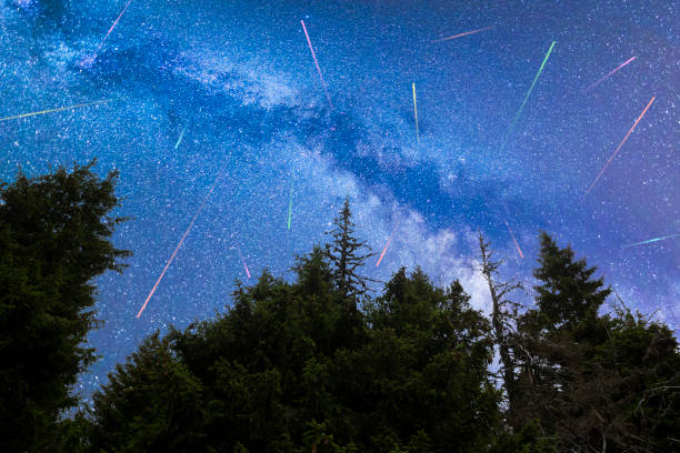 istock Blue Milky way falling stars pine trees silhouette 1164580079