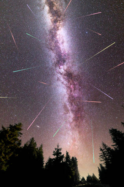 istock Purple Milky way falling stars pine trees silhouette 1164580102