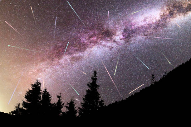 istock Purple Milky way falling stars pine trees silhouette 1164580110