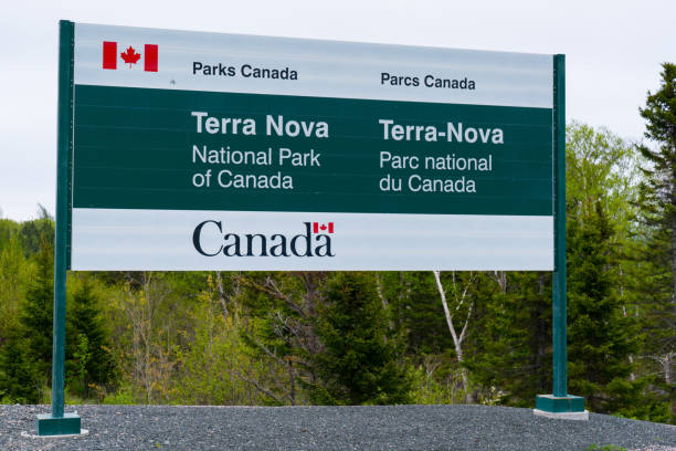Wiltondale, Newfoundland - June 11, 2019: Welcome sign at the entrance to Terra Nova National Park in Newfoundland, Canada