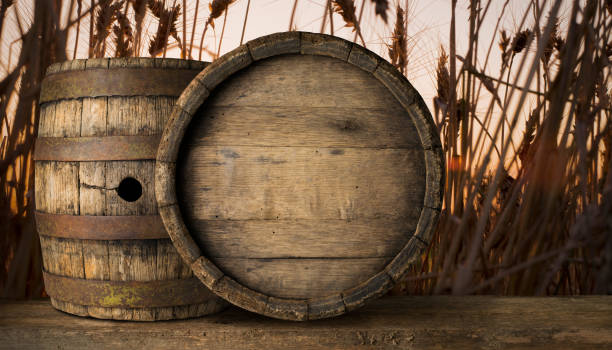 Old wooden beer barrel on the wheat field background
