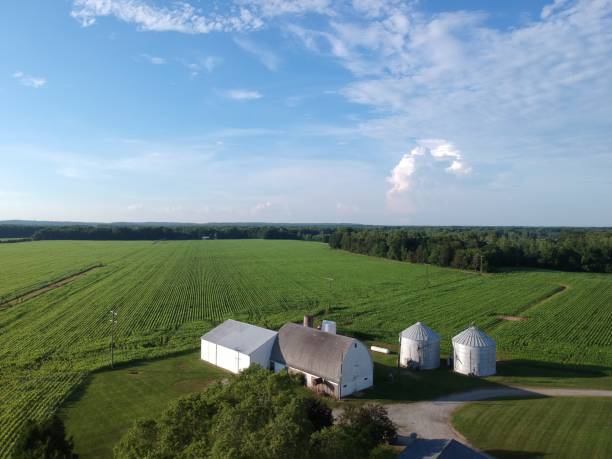 istock Agriculture Farm Scene 1164582311