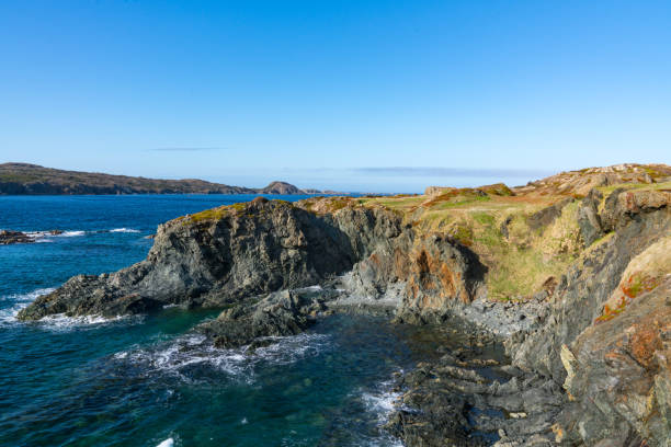 istock Rocky Coastline near Twillinggate in Newfoundland 1164582503
