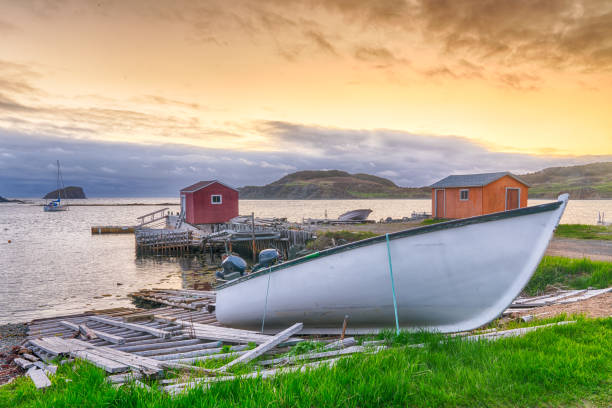 Sunset in fishing village in Newfoundland, Canada Boats and sheds in coastal fishing village during sunset in Newfoundland, Canada newfoundland island photos stock pictures, royalty-free photos & images