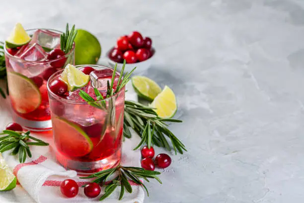 Cold season drink - cranberry and rosemary cocktail, copy space