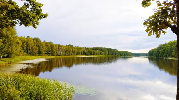 istock View of wild terrain 1164586566