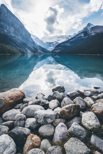 lake louise wasserreflexionen (kanada) - british columbia glacier national park british columbia wildlife canada stock-fotos und bilder