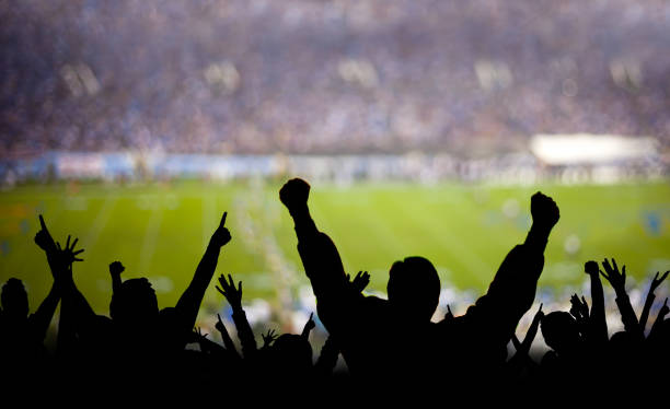 fans de football excités - partisan photos et images de collection