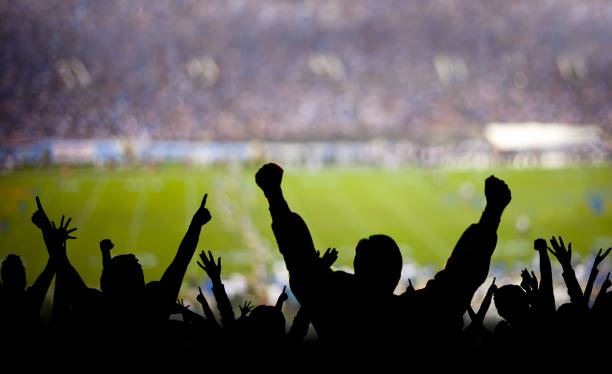 Football Fans Excited American football fans excited at a game. fan enthusiast stock pictures, royalty-free photos & images