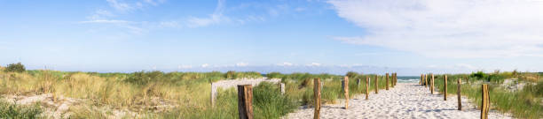 panorama spiaggia e dune mar baltico - panoramico foto e immagini stock