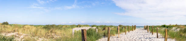 plaża panoramiowa i wydmy bałtyk - north sea zdjęcia i obrazy z banku zdjęć