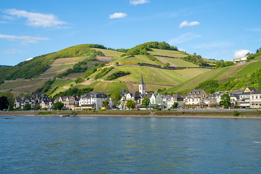 heingau wineyards. Rüdesheim am Rhein in the Rhine Valley, Germany. Rheingau wine region. Riesling wineyards.