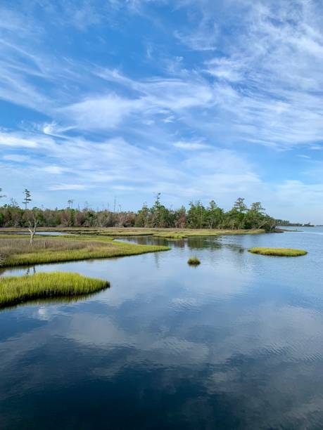 istock Beautiful summer morning in a tidal estuary marsh 1164595405