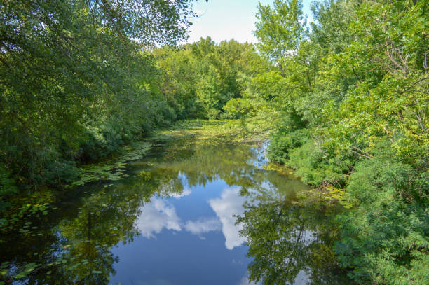 istock Landscape view of Dnipro river confluent 1164598395