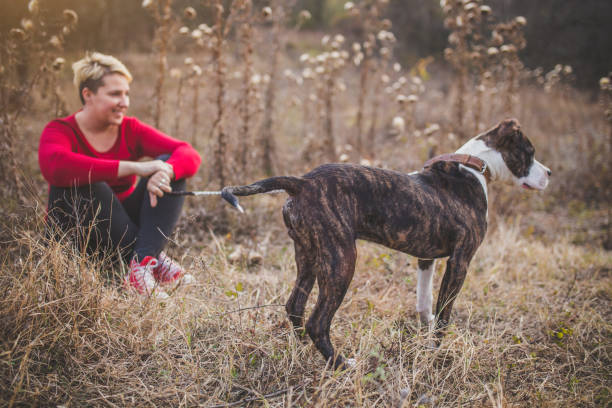 istock One beautiful day with my dog! 1164598496
