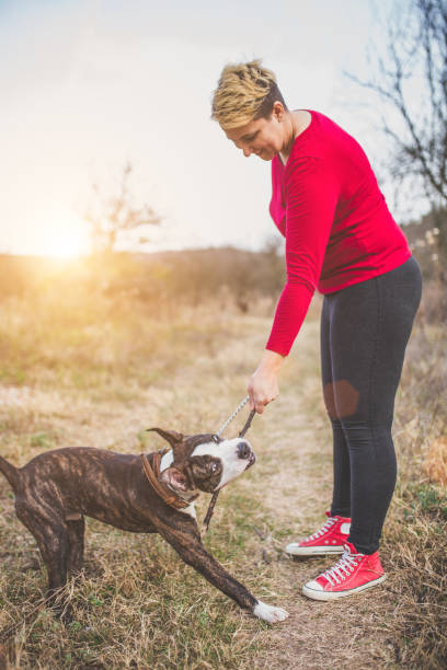 istock Young woman having a fun with her dog 1164598521