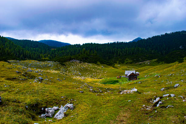istock Wooden house in the valley 1164599248