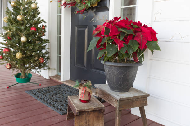 istock Christmas Decorations At Front Door of House 1164609398