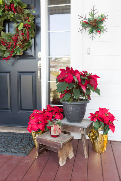 istock Christmas Decorations At Front Door of House 1164609410