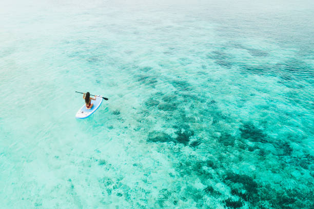 woman paddling on sup board and enjoying turquoise transparent water and coral reef. tropical travel, wanderlust and water activity concept. view from back. - travel the americas human age viewpoint imagens e fotografias de stock