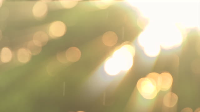 Background With Beautiful Golden Bokeh Circles And Rain Fall Light Ray Slow Motion Loop Able