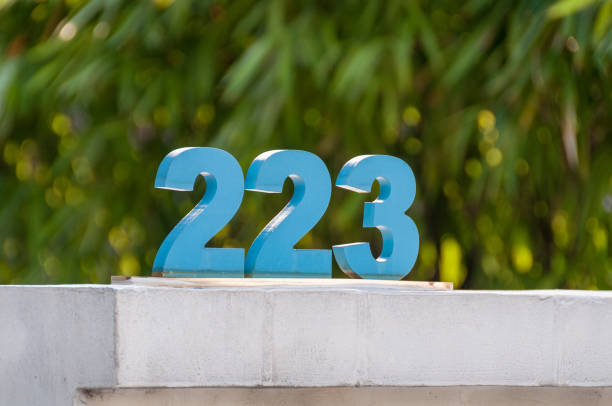 istock Arabic numerals of 223, two hundred twenty three 1164612640