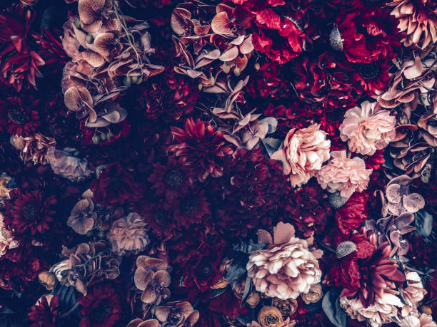 istock artificial flowers wall background with vintage style 1164612827