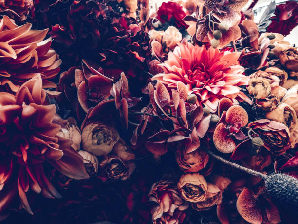 istock artificial flowers wall background with vintage style 1164612830