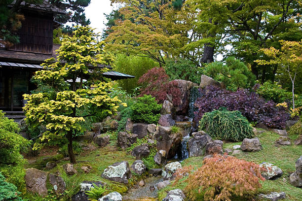The Japanese Garden in San Francisco
