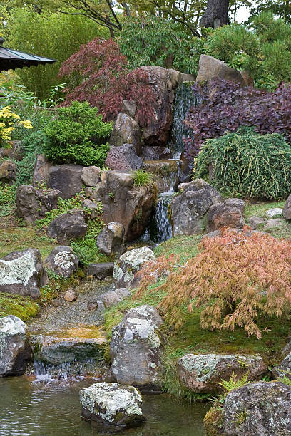 istock The Japanese Tea Garden 116461520
