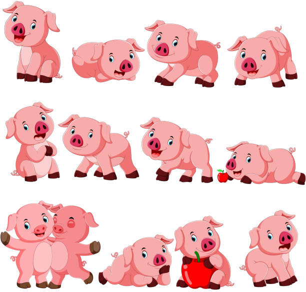 ilustraciones, imágenes clip art, dibujos animados e iconos de stock de colección de cerdo lindo con varias posas - piggy bank currency business coin