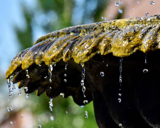 istock Refreshing Water at The Ole Fountain 1164624632