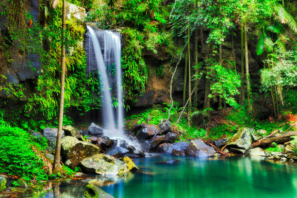 istock QLD WF tamborine left side 1164628387