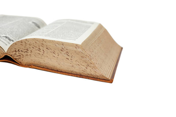 istock Pages of an Old Leather Bound Dictionary 1164631595