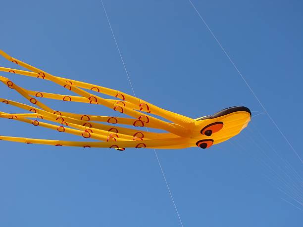 летающий kite - schönes wetter стоковые фото и изображения