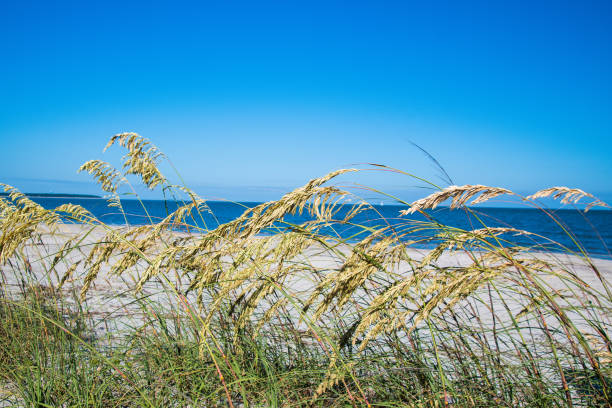 Daufuskie Island