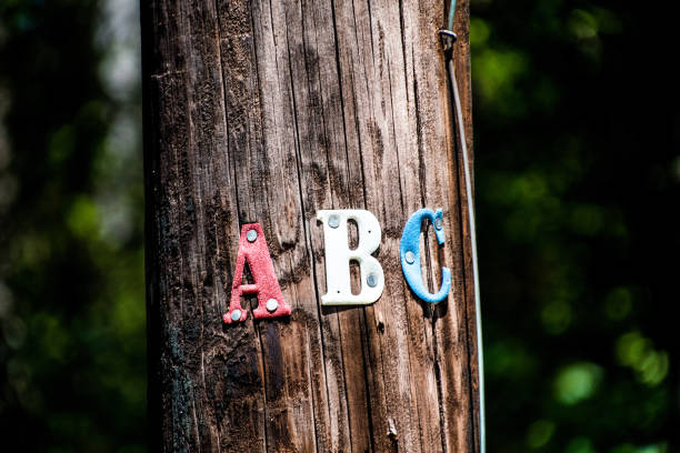 istock Daufuskie Island 1164635706