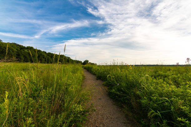 istock Summer evening in Dixon Waterfowl Refuge 1164635786
