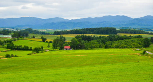 istock Summer scenery in Hokkaido, Japan. 1164637572